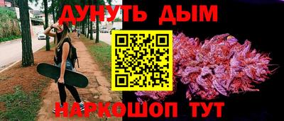 гидра Обь