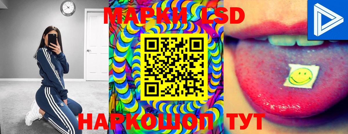 Сальск  Лсд 25 экстази ecstasy  Вход с VPN  ЛСД экстази кислота 